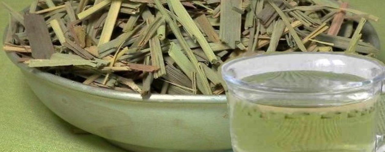 HIERBA LUISA &#8211; BYLINKA , KTEROU MOŽNÁ NEZNÁTE