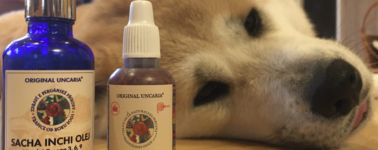 Dračí krev a&nbsp;olej Sacha Inchi u&nbsp;psů &#8211; léčba tzv.&nbsp;hotspotu