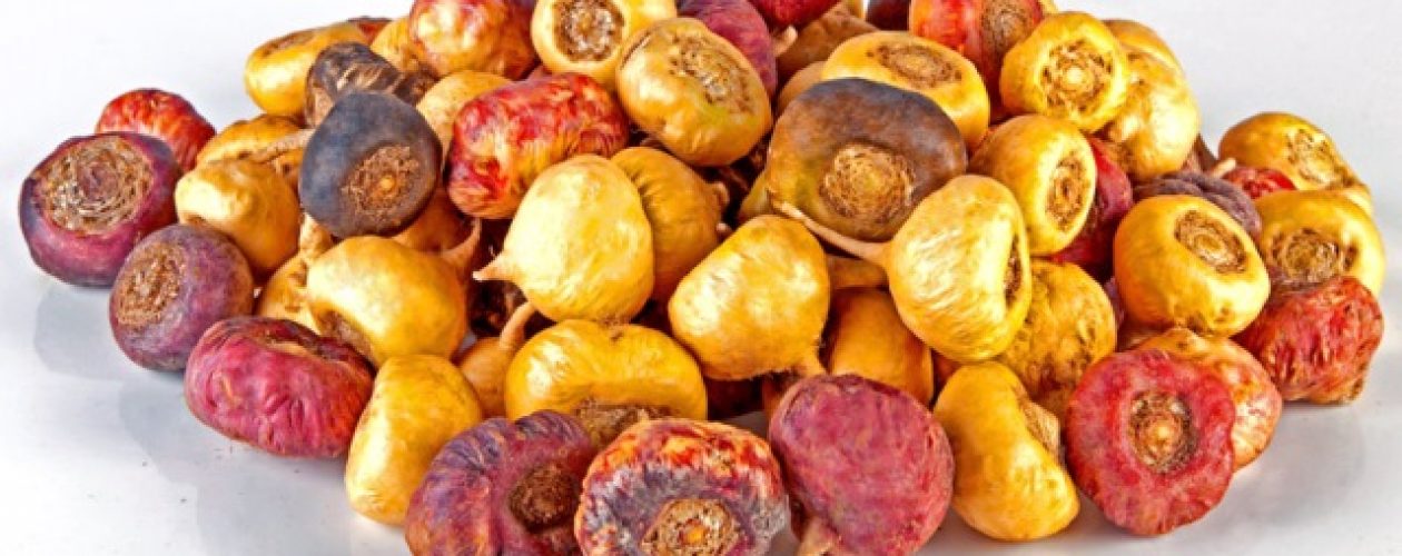 6 věcí které byste měli vědět o&nbsp;Mace, abyste se vyhnuli zklamání.