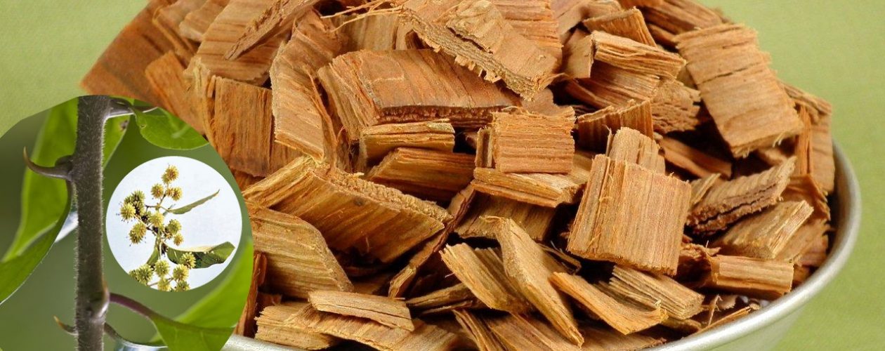 KRÁLOVNA AMAZONIE &#8211; VILCACORA