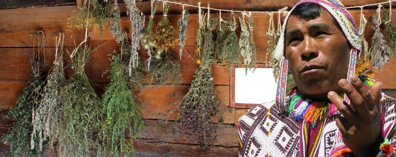 AKADEMICKÁ MEDICÍNA A&nbsp;PERUÁNSKÉ BYLINY