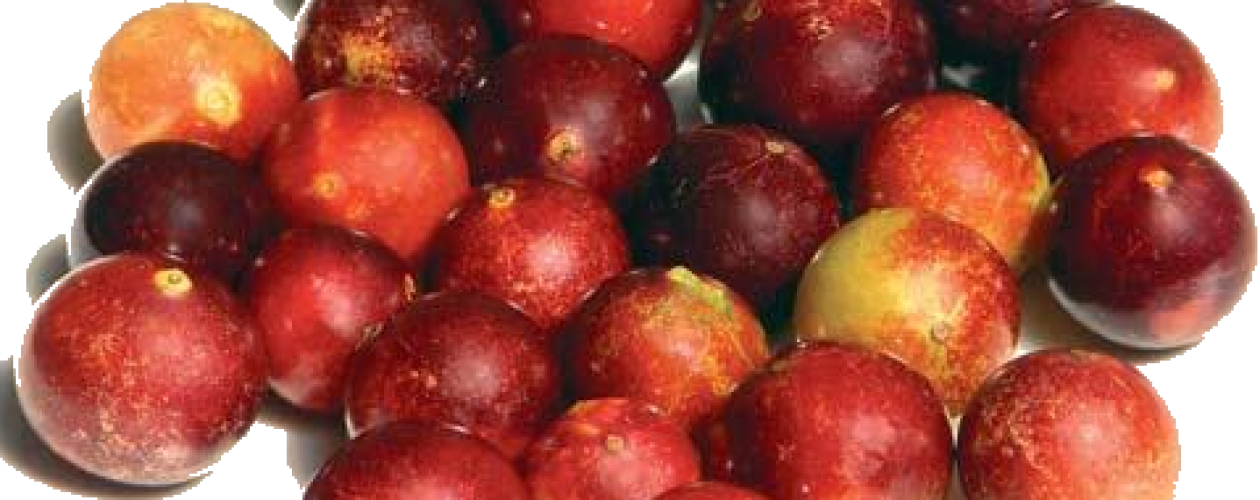 KYSELÝ POKLAD PRO NAŠE ZDRAVÍ