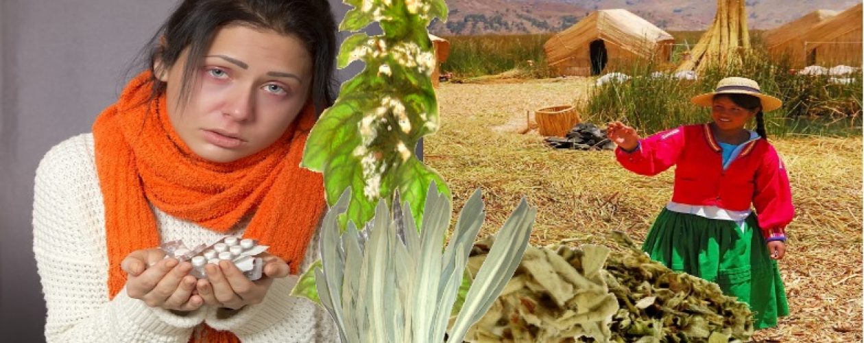 Chřipkový maraton aneb BERU PERU