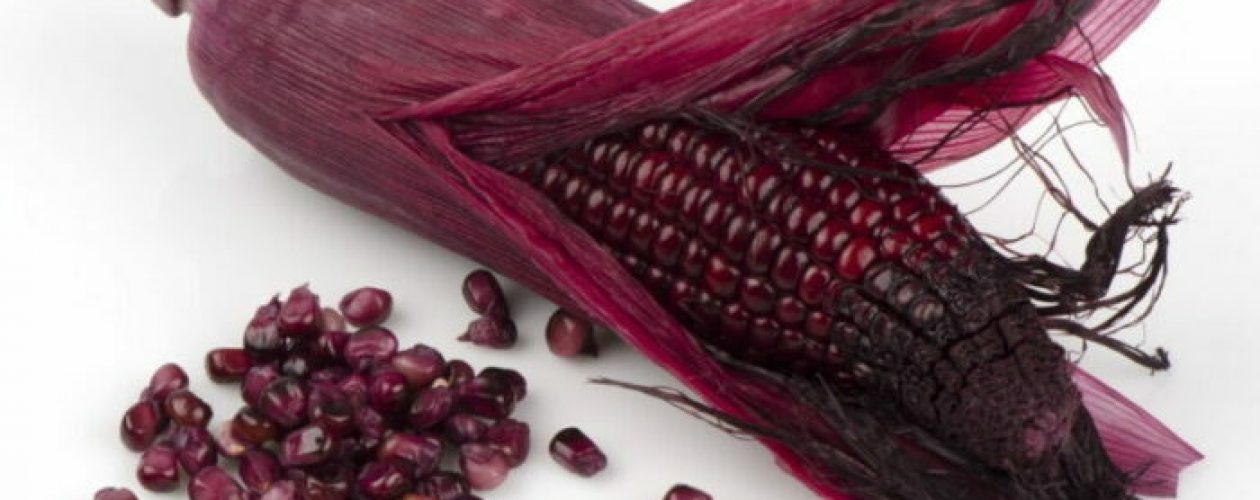 Violet AO&#8230;Maiz Morado&#8230;Co to je?