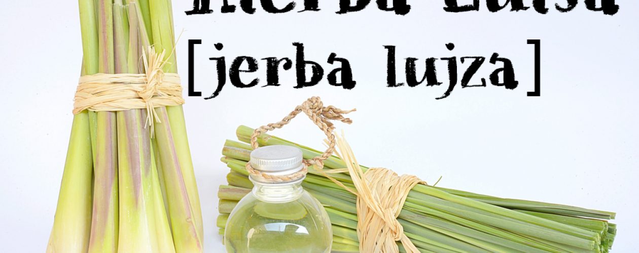 Peruánské byliny a&nbsp;potraviny v&nbsp;nejen letní kuchyni