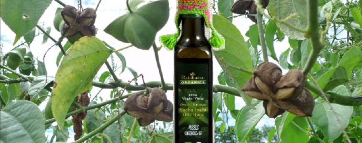 NENÍ OMEGA JAKO OMEGA