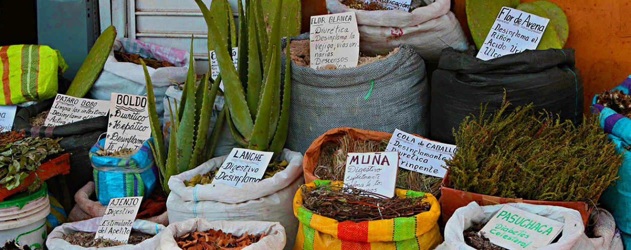 Příprava čajů z&nbsp;peruánských bylin